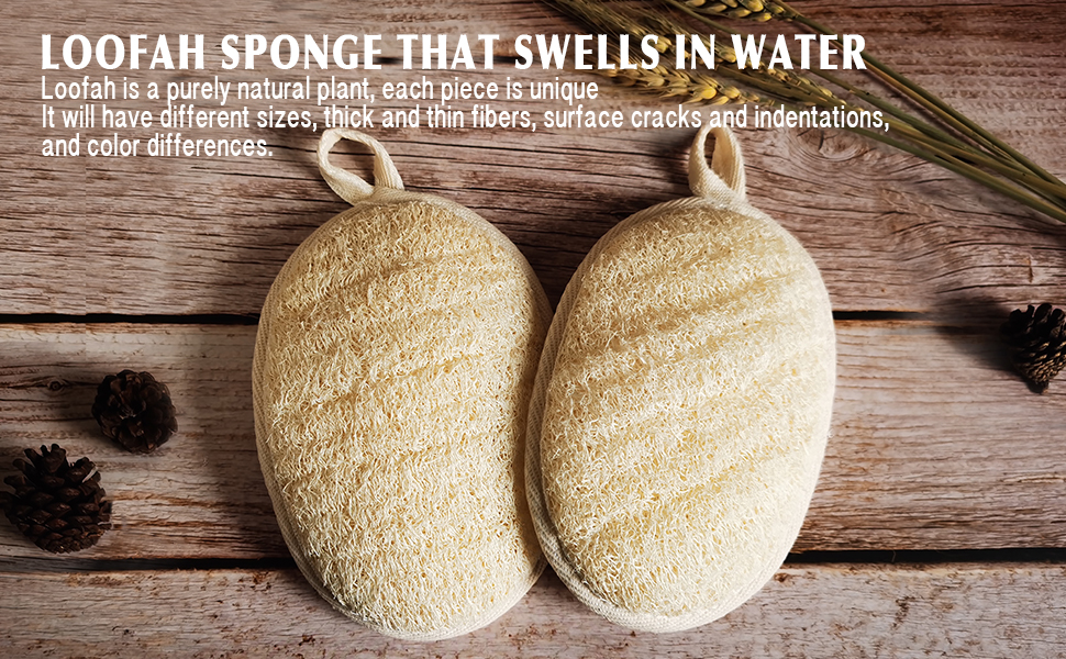 loofah sponge 